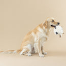 Fringe Studio owl toy with dog