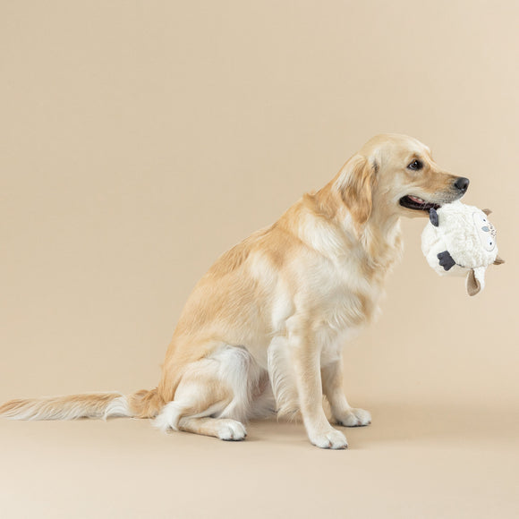 Fringe Studio owl toy with dog