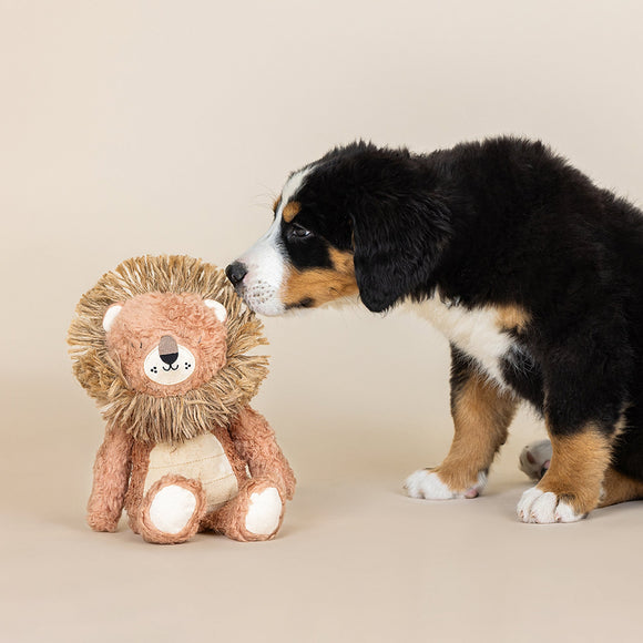 Fringe Studio Mighty Mane dog toy at home