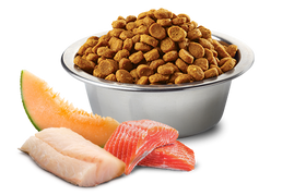 Farmina - N&D Ocean - Salmon, Cod and Cantaloupe Melon Adult Maxi Giant (Dry Dog Food)