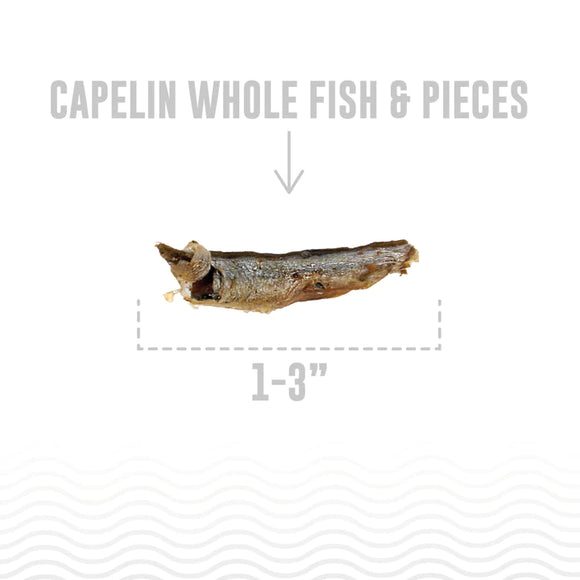 Icelandic+ - Capelin Whole Fish (For Cats)