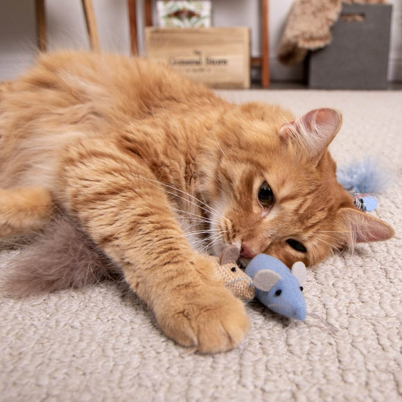 Instincts Catnip Caravan Toss & Bat cat toys 5
