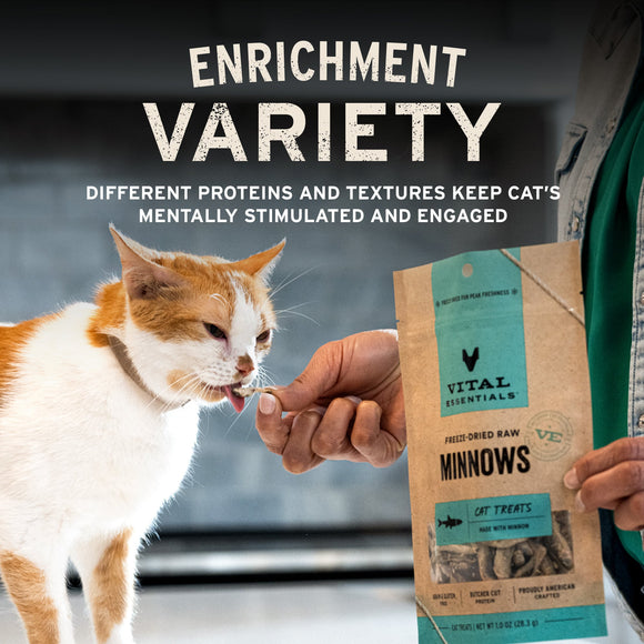 Vital Essentials Freeze-Dried Diced Salmon Treats (For Cats)