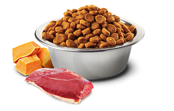 Farmina - N&D Pumpkin - Duck, Pumpkin, Cantaloupe Adult Med & Maxi (Dry Dog Food) - 0