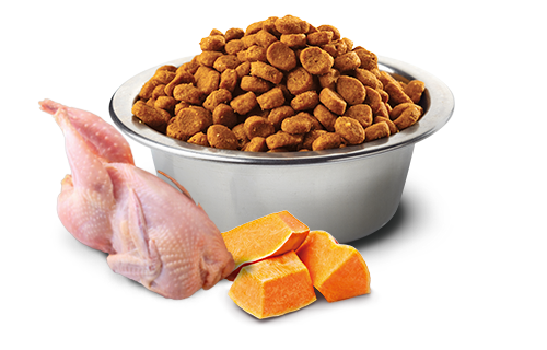 Farmina - N&D Pumpkin - Quail, Pomegranate & Pumpkin Med/Maxi (Dry Dog Food)