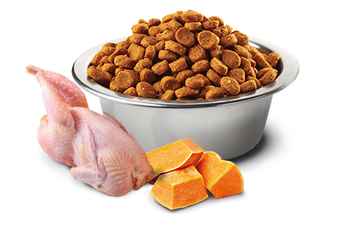 Farmina - N&D Pumpkin - Quail, Pomegranate & Pumpkin Med/Maxi (Dry Dog Food)