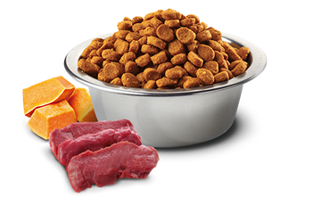 Farmina - N&D Pumpkin - Venison, Apple & Pumpkin Medium & Maxi (Dry Dog Food)