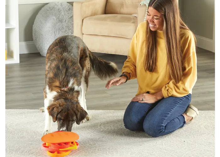 Brightkins - Pupstrami Surprise! Treat Puzzle (For Dogs)
