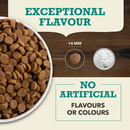 ACANA Coldwater Fish Recipe kibble size