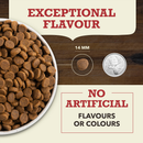 ACANA Red Meat Recipe kibble size