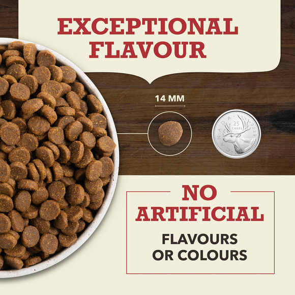 ACANA Red Meat Recipe kibble size