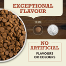 ACANA Singles Beef with Pumpkin kibble size