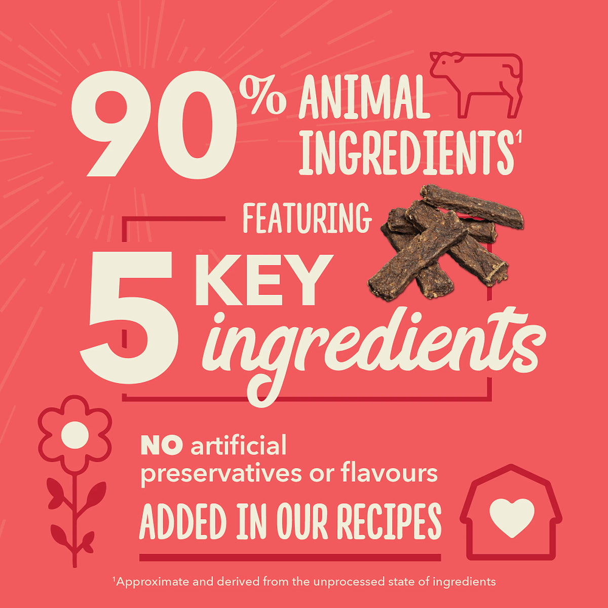 Acana - Chewy Strips - Beef Recipe (For Dogs)