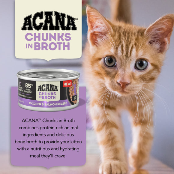 Acana - Chunks in Broth - Chicken & Salmon Kitten Recipe (Wet Kitten Food)