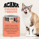 Acana - Chunks in Broth - Salmon & Chicken Recipe (Wet Cat Food)