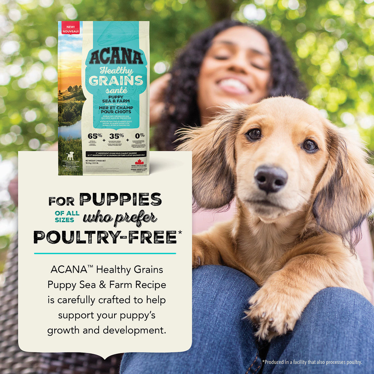 Acana - Healthy Grains - Sea to Farm Puppy Recipe (Dry Dog Food)