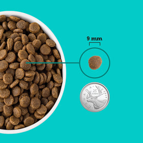 Acana - Healthy Grains - Sea to Farm Puppy Recipe (Dry Dog Food)