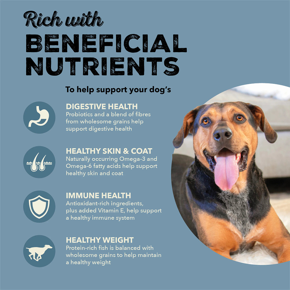 Acana - Healthy Grains -Sea to Stream Recipe (Dry Dog Food)