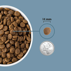 Acana - Healthy Grains -Sea to Stream Recipe (Dry Dog Food)