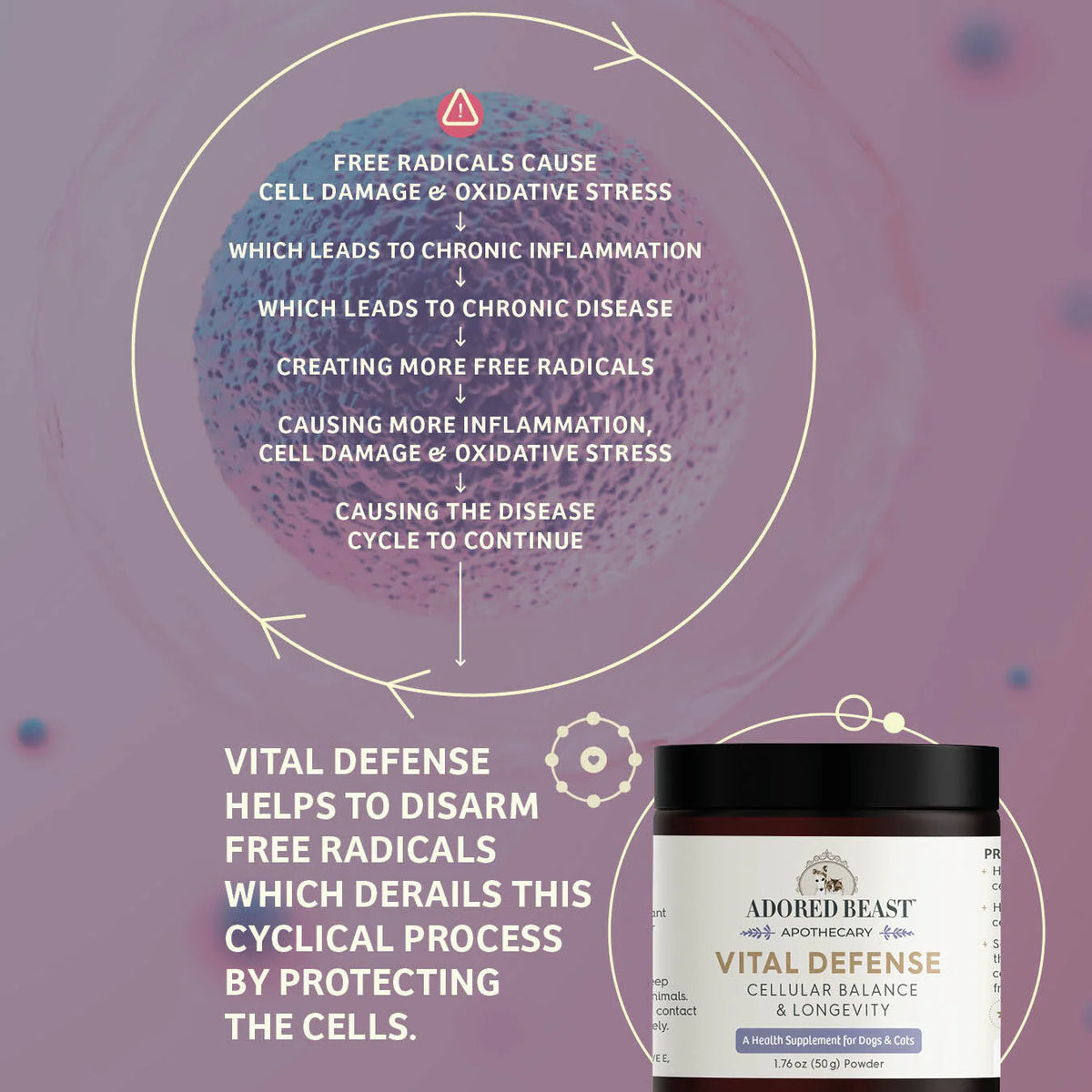 Atdared Number Adored Beast - Vital Defense (For Dogs & Cats) | ARMOR THE POOCH