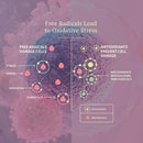 Adored Beast - Vital Defense (For Dogs & Cats)-2