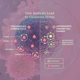 Adored Beast - Vital Defense (For Dogs & Cats) - 0