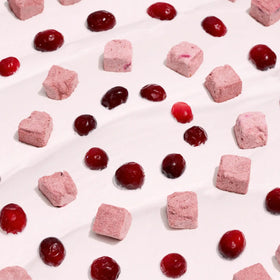 Wagging Bum - Anytime Yogurt! Freeze Dried Yogurt with Cranberry (For Dogs)