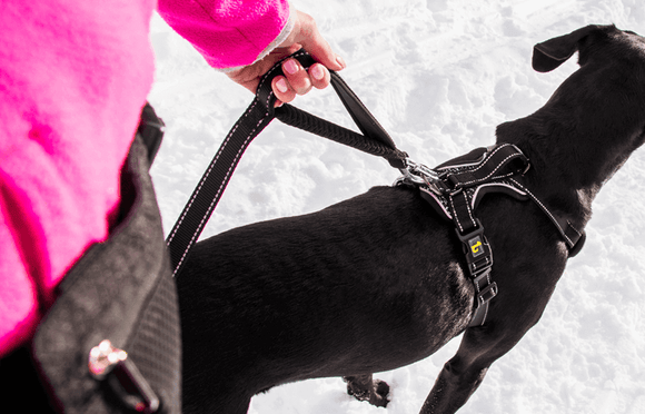 BeOneBreed - Mesh Harness - Black