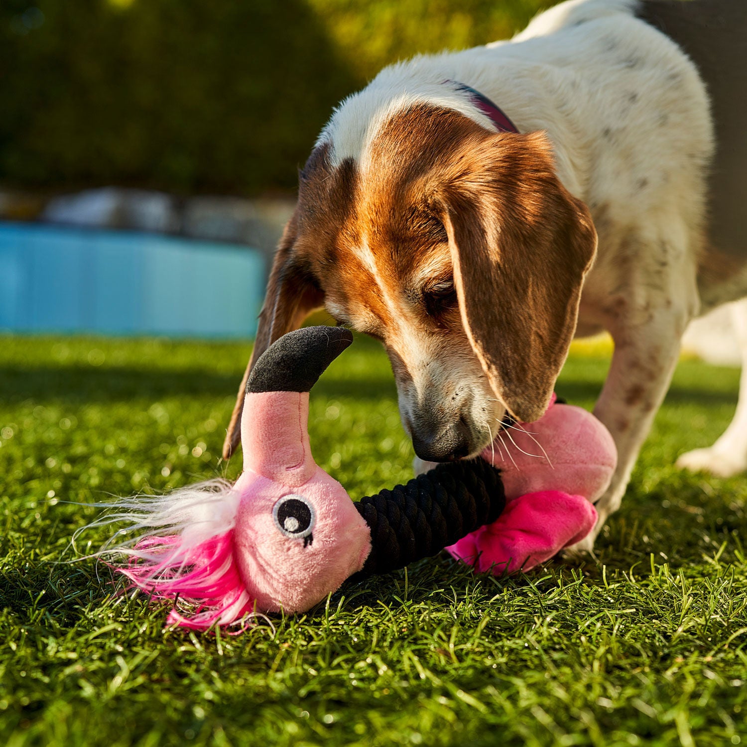 BeOneBreed - Rio the flamingo(Dog Toy)