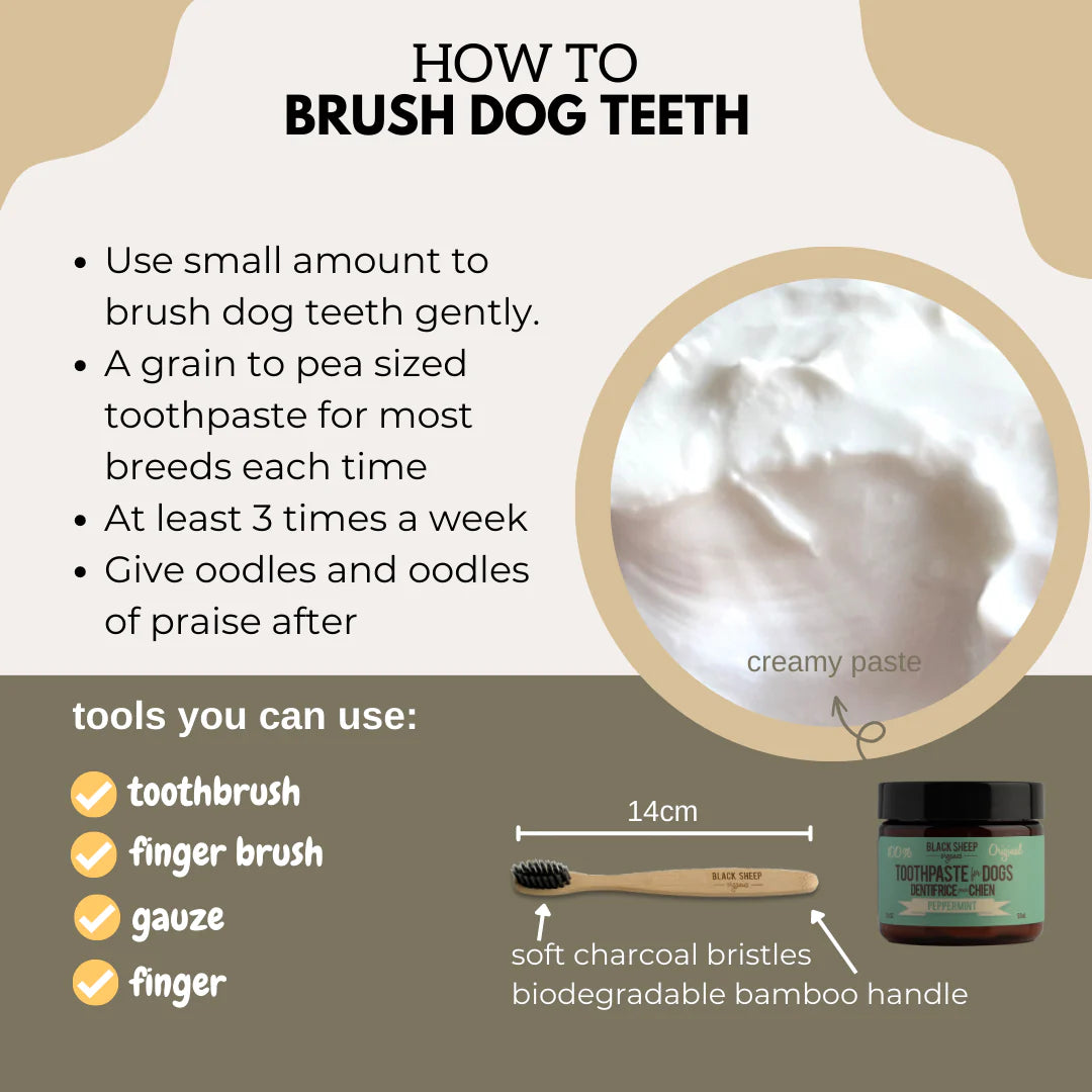 Black Sheep Organics - Organics Toothpaste (For Dogs)