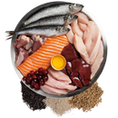 ORIJEN Amazing Grains Original 85% animal ingredients