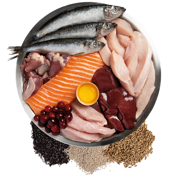 ORIJEN Amazing Grains Original 85% animal ingredients