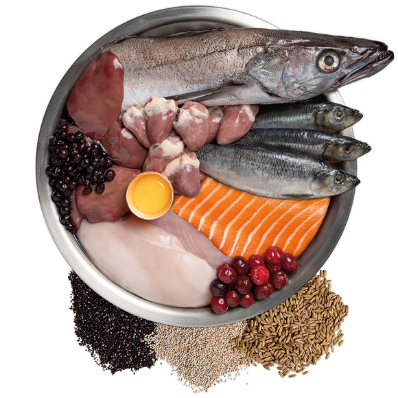 ORIJEN Amazing Grains Puppy 85% animal ingredients