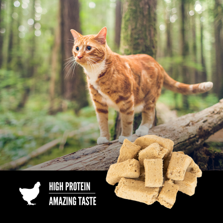 Orijen - Original Freeze-Dried Treats (For Cats)