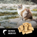 Orijen - Six Fish Freeze-Dried Treats (For Cats)