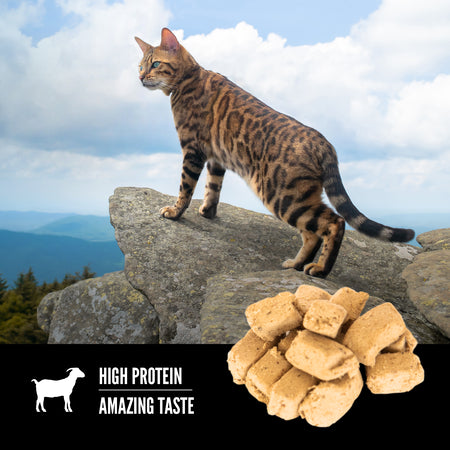 Orijen - Tundra Freeze-Dried Treats (For Cats)