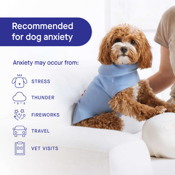 Canada Pooch Weighted Calming Vest in Blue