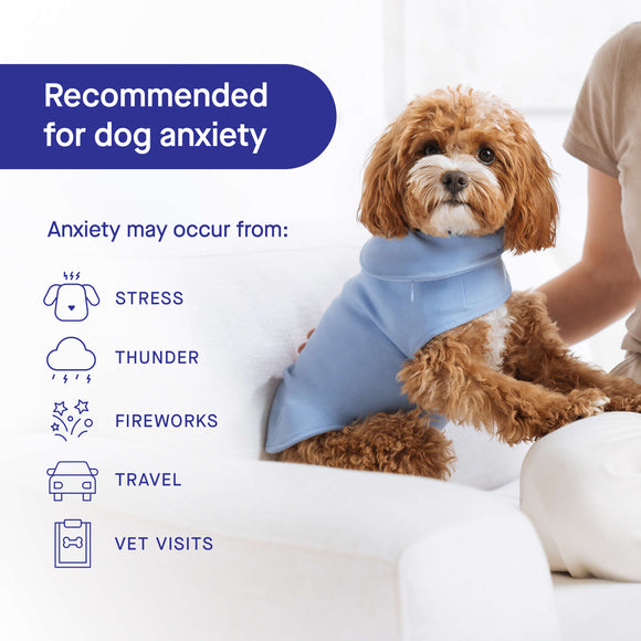 Canada Pooch Weighted Calming Vest in Blue