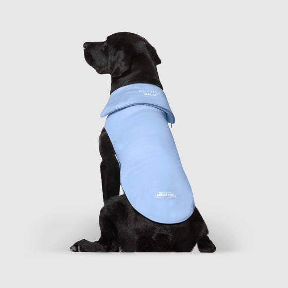 Canada Pooch Weighted Calming Vest in Blue 2