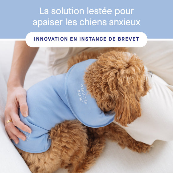 Canada Pooch Weighted Calming Vest in Blue 7