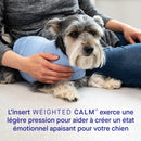 Canada Pooch Weighted Calming Vest in Blue 8