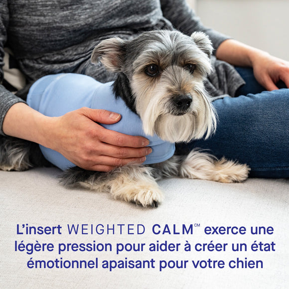 Canada Pooch Weighted Calming Vest in Blue 8