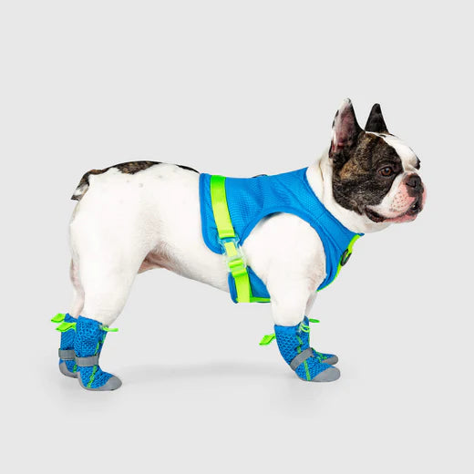 Canada Pooch - Hot Pavement Boots