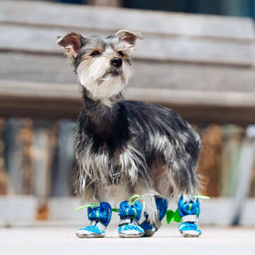 Canada Pooch - Hot Pavement Boots
