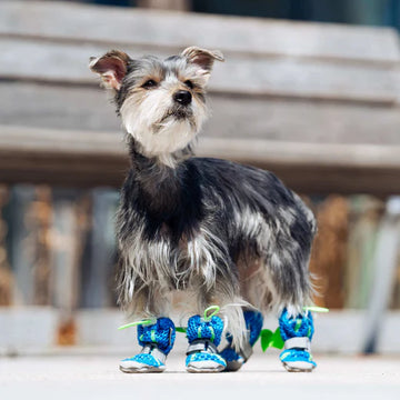 Canada Pooch - Hot Pavement Boots