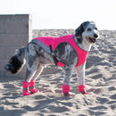 Canada Pooch - Hot Pavement Boots (Pink)