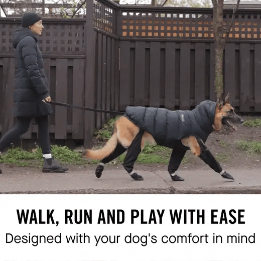 Canada Pooch - Suspender Boots (Red)