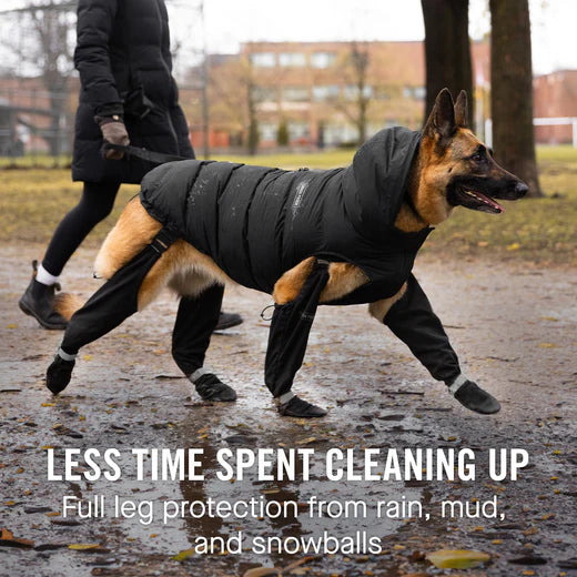 Canada Pooch - Suspender Boots (Red)