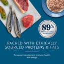 ZiwiPeak Wet Beef with Mackerel Recipe for Kittens 3