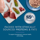 ZiwiPeak Wet Chicken with Lamb Recipe for Kittens 3